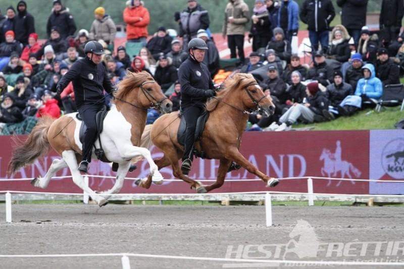 Hrossar&aelig;kt &iacute; 100 &aacute;r